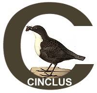 To the Cinclus C Sportfishing guide